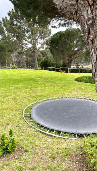 5 Bedroom Property for Sale in High Riding Country Estate Western Cape
